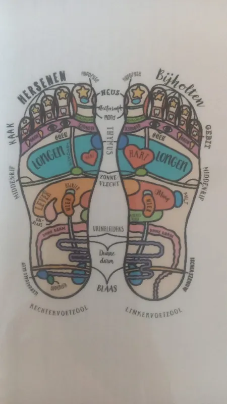 Kaart met de reflexzones van de linker- en rechtervoetzool en de bijbehorende organen.